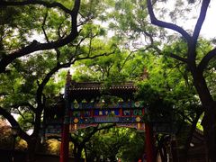 -北京国子监胡同