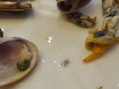 -秦皇岛秦皇国际大酒店