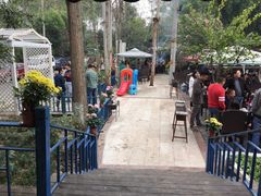 -白鹭湾湿地公园