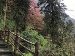 -峨眉山风景名胜区