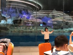 -帝企鹅自助餐厅•儿童岛•真企鹅(长隆企鹅酒店)