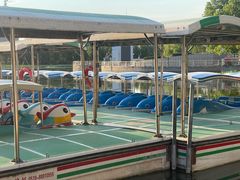 -莲花池公园