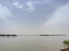 -洪湖湿地生态园