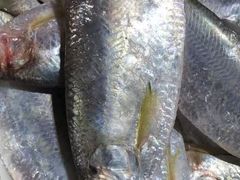 -重振华中蔬菜批发市场(重庆中路店)