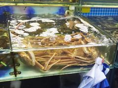 -四道口水产市场
