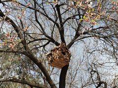-北京西山国家森林公园
