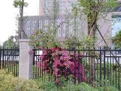 -成都市郫都区人民医院