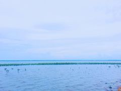 -东寨港红树林旅游区