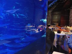 -迪拜帆船酒店海底餐厅