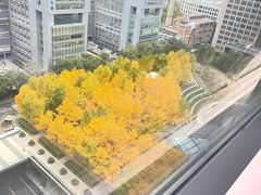 -VENCHI 闻绮(北京国贸商城店)