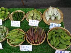 -花莲东大门国际观光夜市