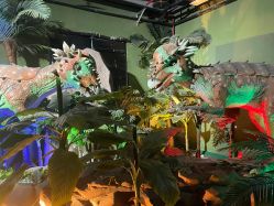 -恐龙探索乐园(磁器口店)