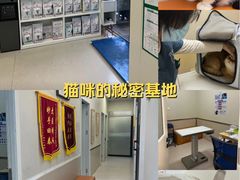 -爱妮康宠物医院·干细胞免疫细胞·肿瘤·心脏(张江店)