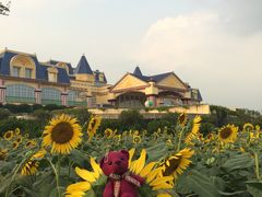 -广州花之恋城堡酒店
