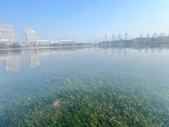 -尚贤河湿地