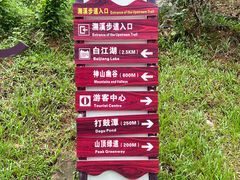 -广州白江湖森林公园