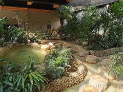 -三江森林温泉度假区