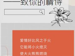 -瑞漫时光婚礼创意设计Remember The Time