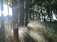 -马王堆汉墓遗址