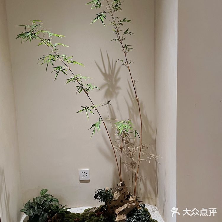 周末游玩好去处，竹林深处的竹园里