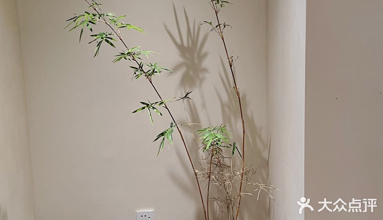 周末游玩好去处，竹林深处的竹园里