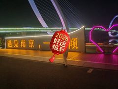 -南京眼步行桥