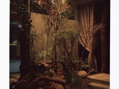 -森SPA·泰式按摩·精油Massage(宝安中心店)