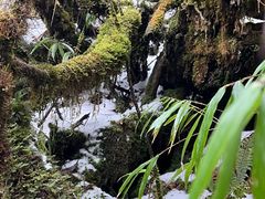 -龙苍沟森林公园