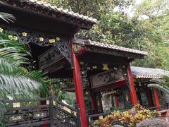 -顺峰山公园