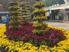 -回龙窝历史文化街区