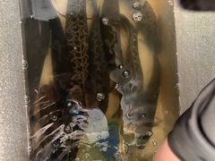 -金三可市井水煮鱼(金碧园店)