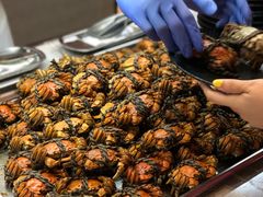 -新发展亚太JW万豪酒店·福苑咖啡厅