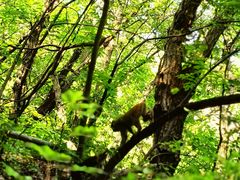 -北京上方山国家森林公园