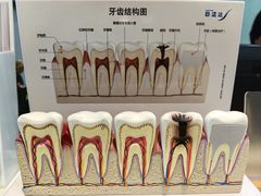 -蒙恩齿科(福田金中環店)