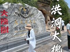 -大槐树寻根祭祖园