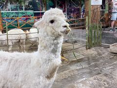 -上海大自然野生昆虫馆(东方明珠·爬宠昆虫探索中心)