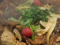 -老板恋上鱼(印象城店)