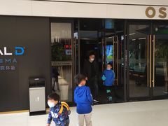 -奥斯卡升龙国际影城(RealD Cinema)