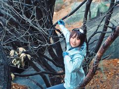 -崂山仰口游览区