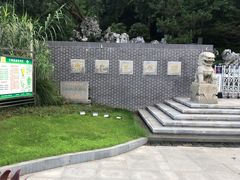-菊花台公园