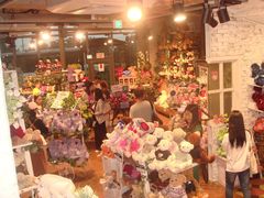 -济州岛泰迪熊博物馆