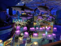 -烟台海昌鲸鲨海洋公园