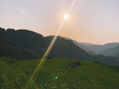 -重庆睡佛山森林公园