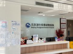 -北京派仕佳德动物医院·超导核磁·CT·神经科·骨科·内外科·急重症管理中心