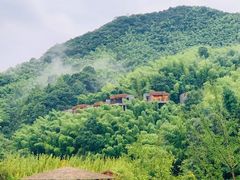 -宁海安岚·南溪阁全日餐厅