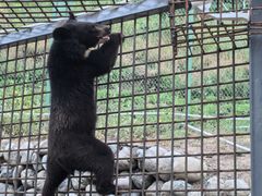 -水上乐园·欢乐世界