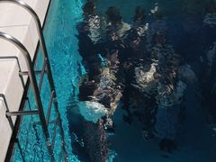 -金泽21世纪美术馆