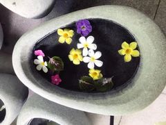 -100蛋泥浆浴