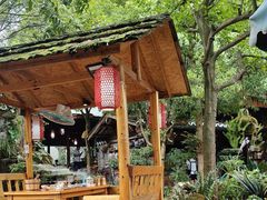 -青城甲(青城山店)