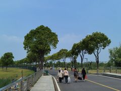 -漕湖湿地公园
